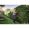Person schneidet Hecke mit Akku-Heckenschere