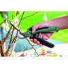 Person schneidet mit Akku-Gartenschere EasyPrune von Bosch einen Ast
