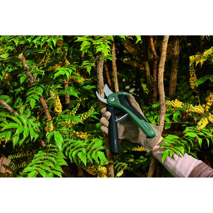 Person schneidet mit Akku-Gartenschere einen Ast