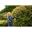 Person schneidet eine Hecke mit einer Akku-Heckenschere.