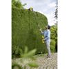 Person schneidet Hecke mit Akku-Heckenschere