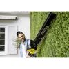 Person schneidet Hecke mit Akku-Heckenschere
