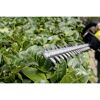 Person schneidet Hecke mit Akku-Heckenschere