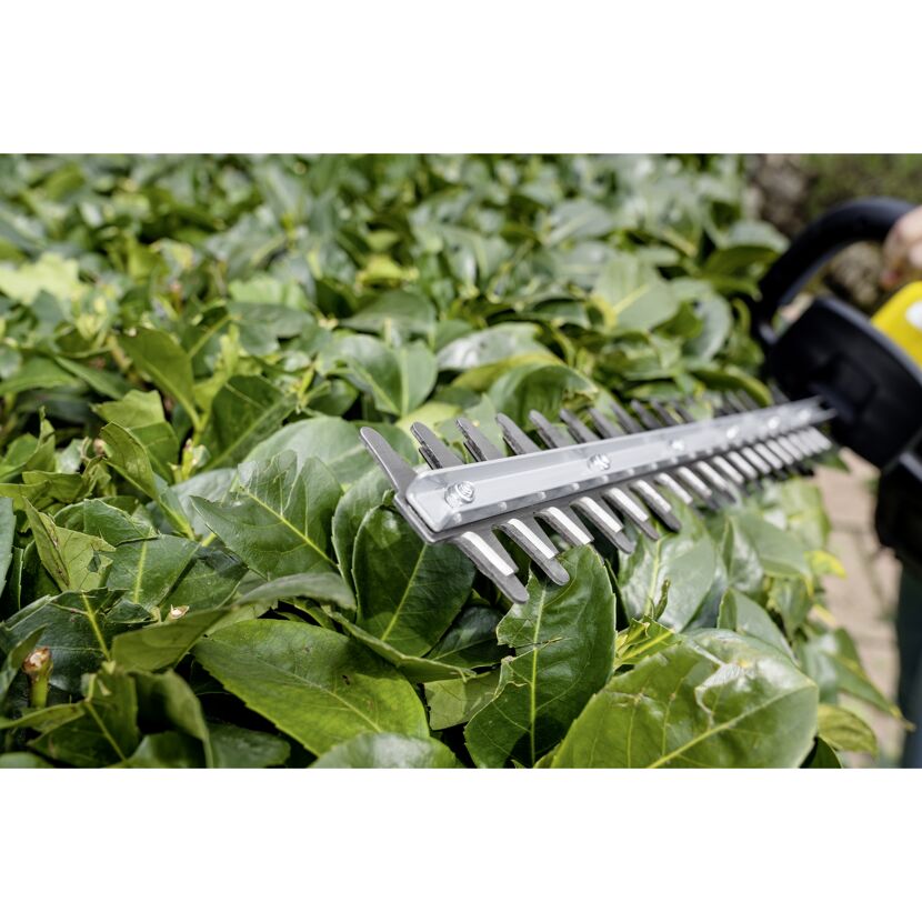 Person schneidet Hecke mit Akku-Heckenschere