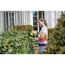 Person schneidet Hecke mit Akku-Heckenschere