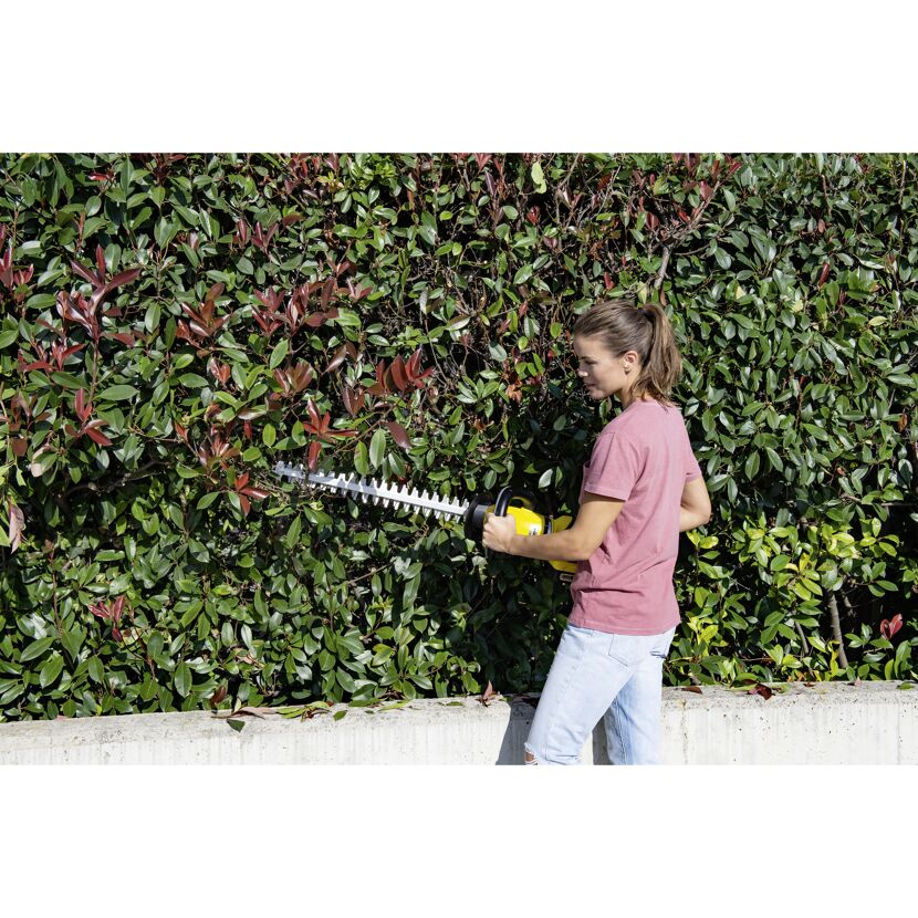 Person schneidet eine Hecke mit einer Akku-Heckenschere.
