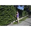 Person schneidet eine Hecke mit einer Akku-Heckenschere.