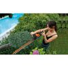 Person schneidet Hecke mit Akku-Heckenschere