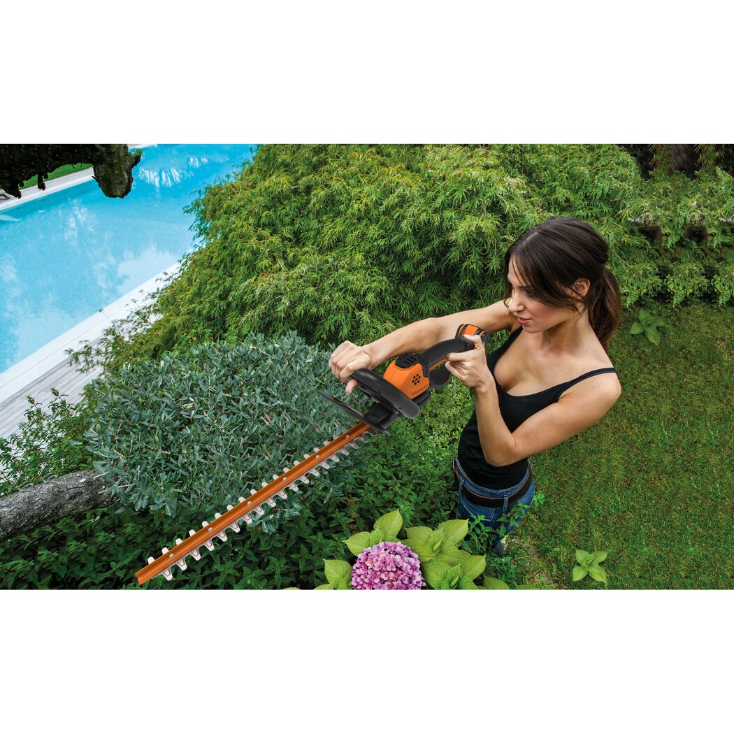 Person schneidet Hecke mit Akku-Heckenschere