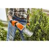 Person schneidet Hecke mit Akku-Strauchschere