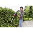 Person schneidet eine Hecke mit einer Heckenschere.