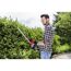 Person schneidet Hecke mit AL-KO Heckenschere