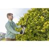 Person schneidet Hecke mit Akku-Heckenschere