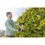 Person schneidet Hecke mit Akku-Heckenschere