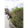 Person schneidet Hecke mit Heckenschere