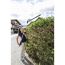 Person schneidet Hecke mit Heckenschere