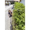 Person schneidet Hecke mit AL-KO Heckenschere