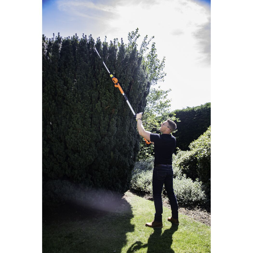 Person schneidet Hecke mit Akku-Heckenschere
