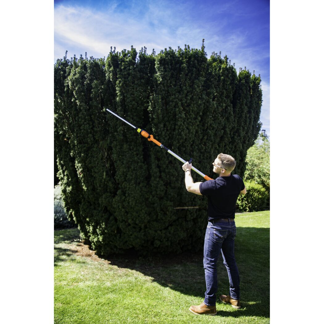 Person schneidet Hecke mit Akku-Heckenschere