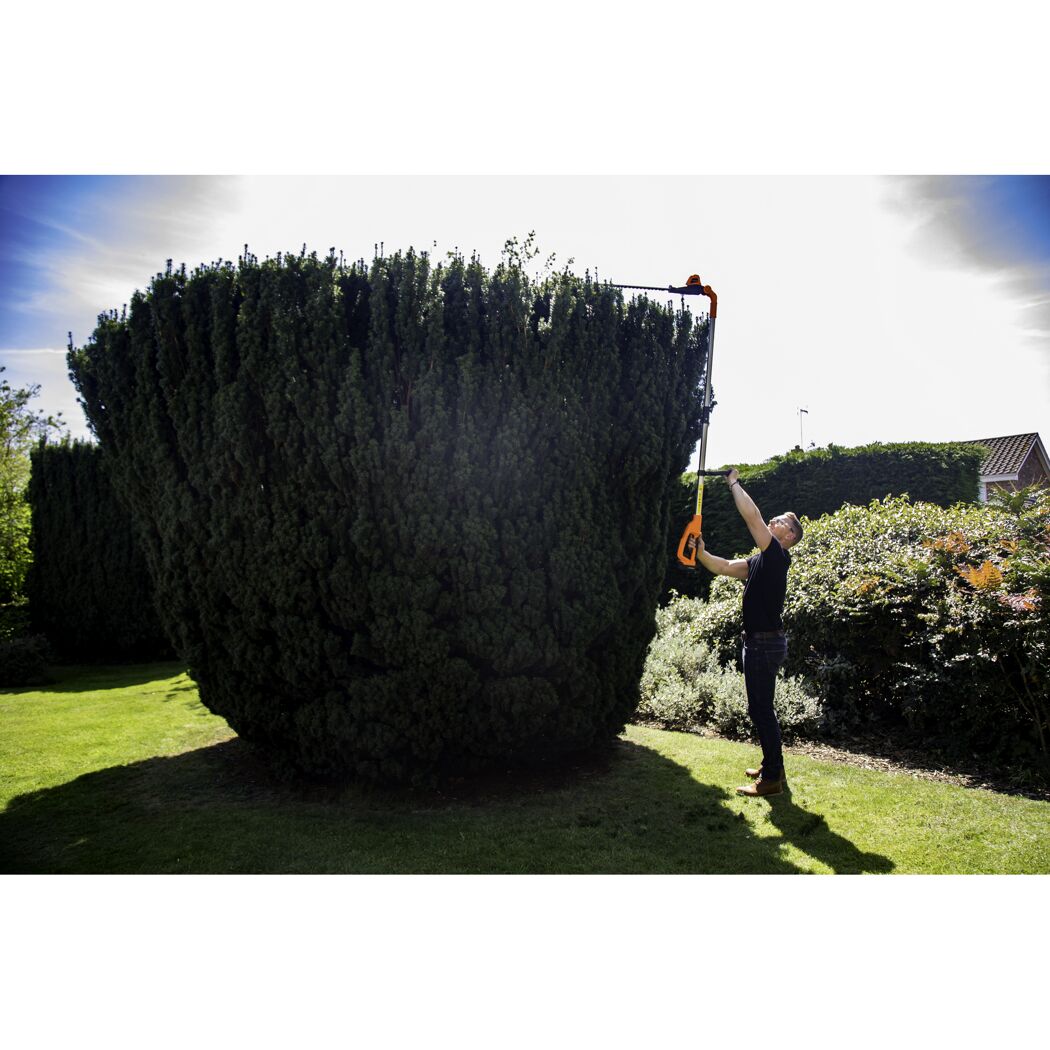 Person schneidet hohe Hecke mit Akku-Heckenschere