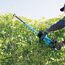 Person schneidet Hecke mit Akku-Heckenschere