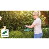 Person schneidet eine Hecke mit einer Heckenschere