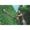 Person schneidet eine Hecke mit einer Heckenschere