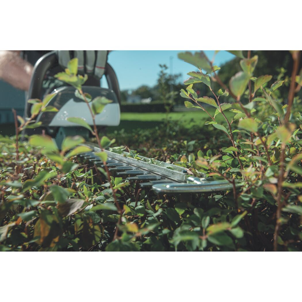 Person schneidet eine Hecke mit einer Heckenschere