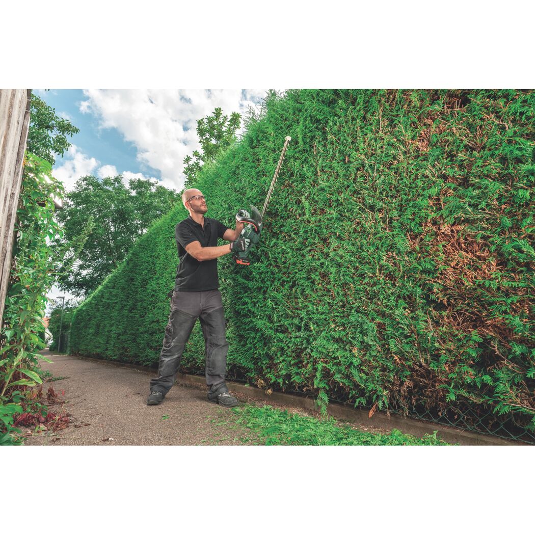 Person schneidet Hecke mit Heckenschere