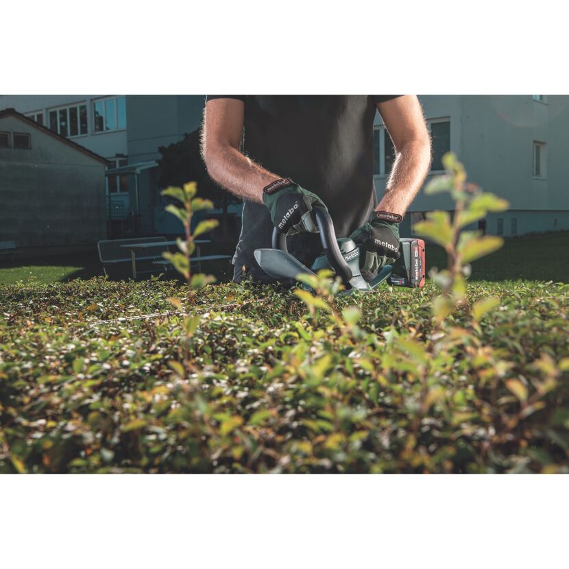 Person schneidet eine Hecke mit einer Metabo Heckenschere