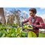 Person schneidet Hecke mit RYOBI Akku-Heckenschere