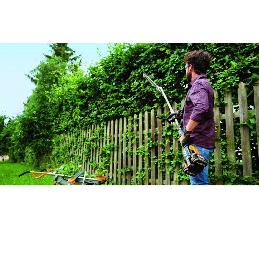 Person schneidet Hecke mit Akku-Heckenschere