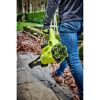 Person entfernt Laub mit Laubbläser von Ryobi