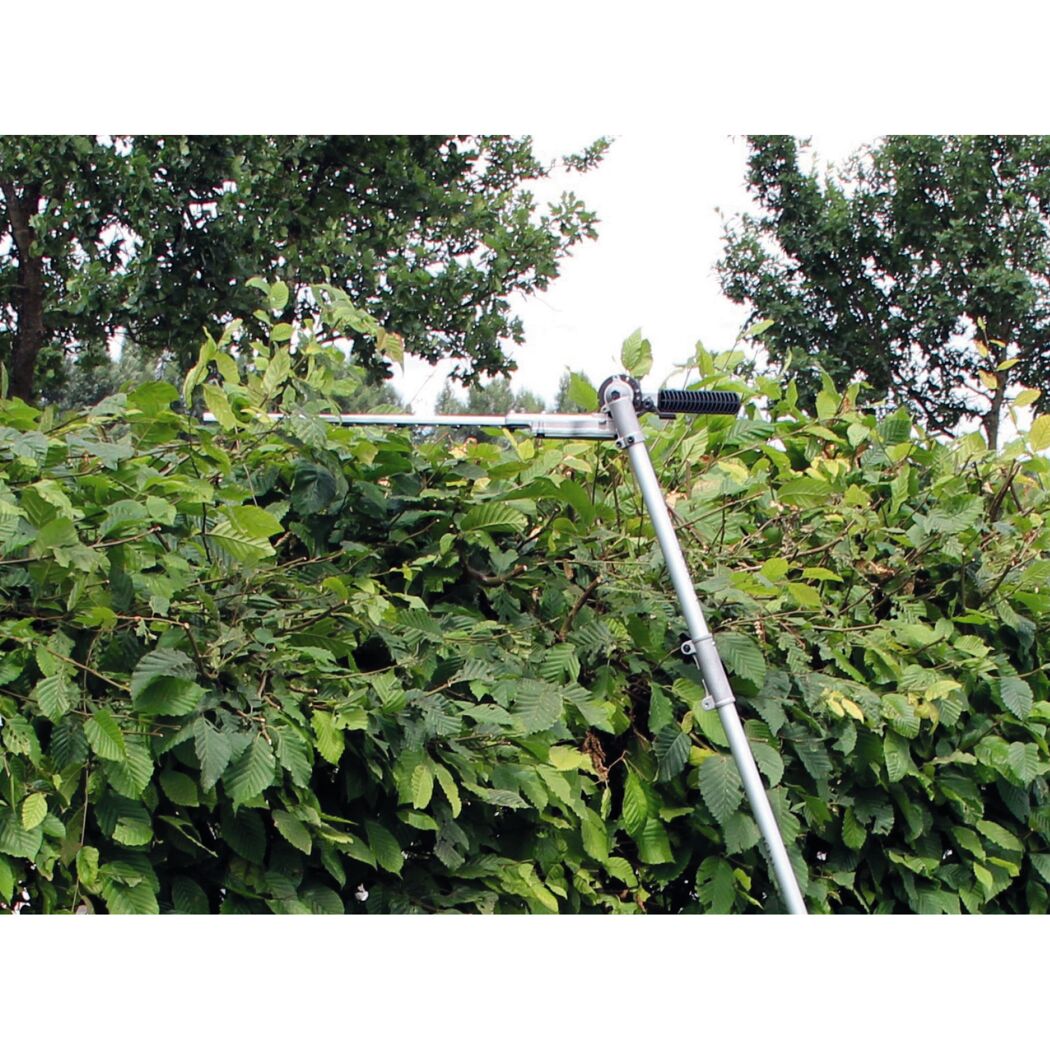 Heckenschere im Einsatz