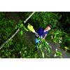 Person schneidet mit Teleskop-Astschere einen Ast