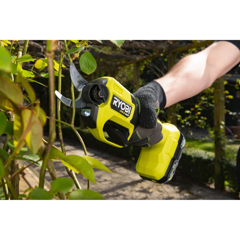 Person schneidet Rosen mit Akku-Gartenschere