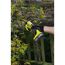 Person schneidet mit der Akku-Gartenschere von Ryobi eine Pflanze.