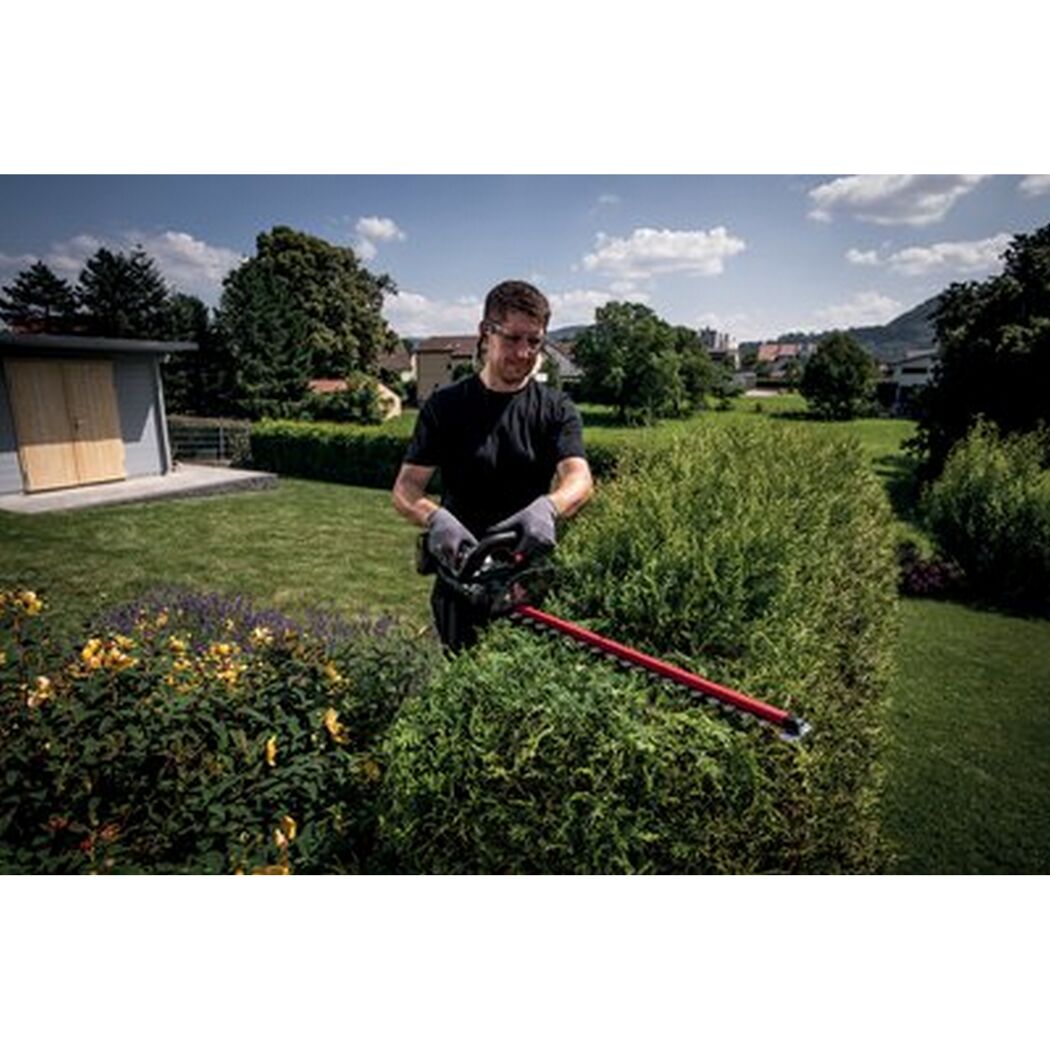 Person schneidet Hecke mit Akku-Heckenschere