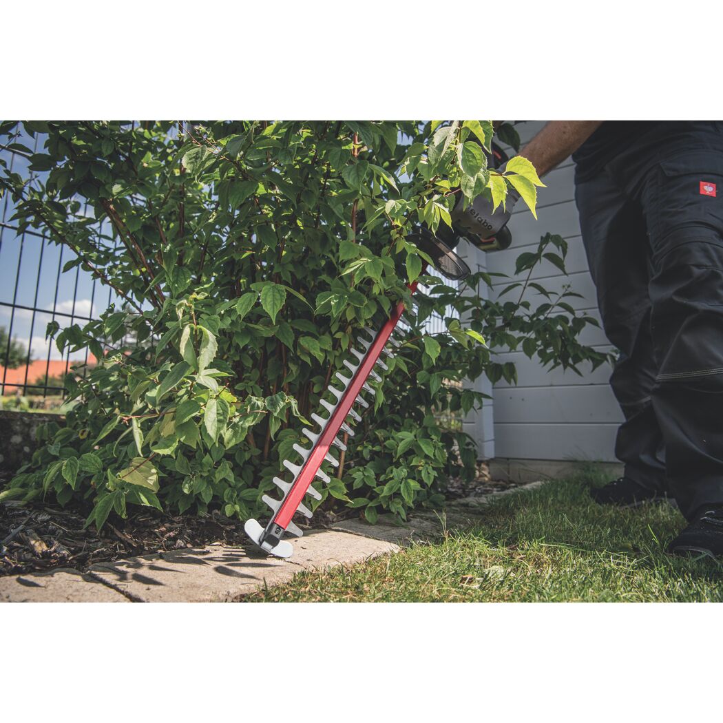 Person schneidet Hecke mit Akku-Heckenschere
