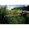 Person schneidet Hecke mit Akku-Heckenschere