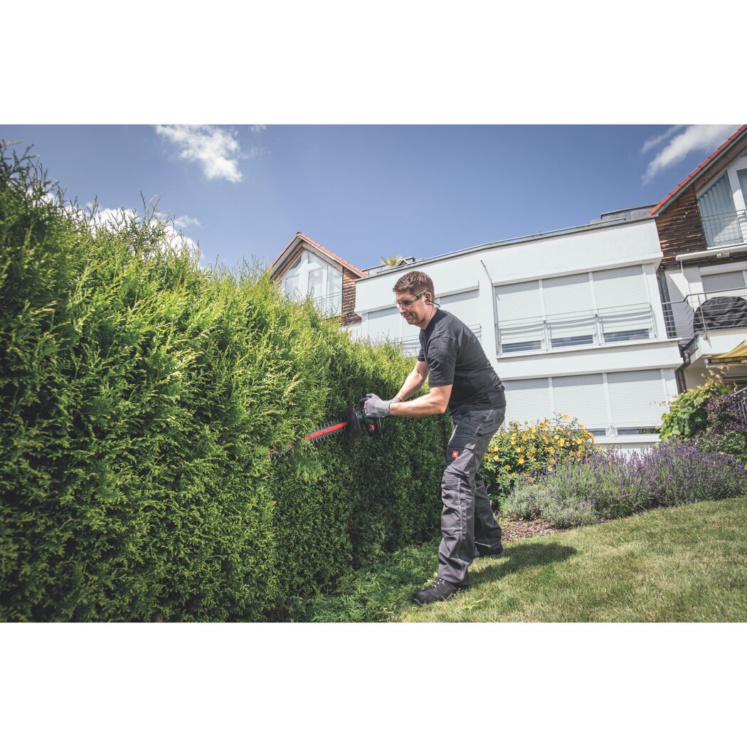 Person schneidet Hecke mit Akku-Heckenschere
