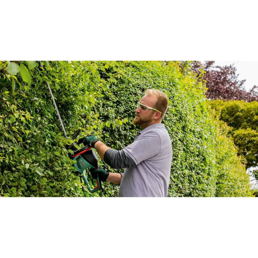 Person schneidet Hecke mit Bosch Akku-Heckenschere