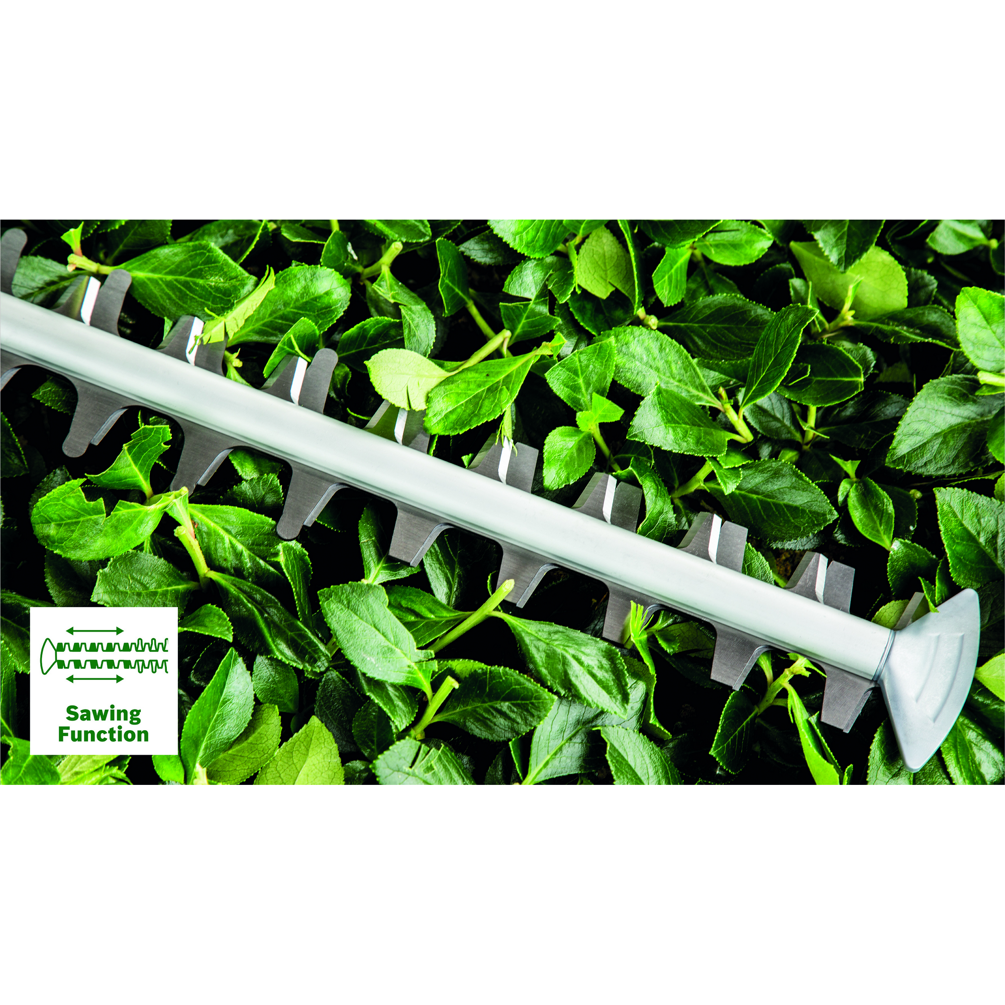 Elektro-Heckenschere 'Advanced Hedge Cut 65' 65 cm 500 W + product picture