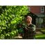 Person schneidet Hecke mit Heckenschere