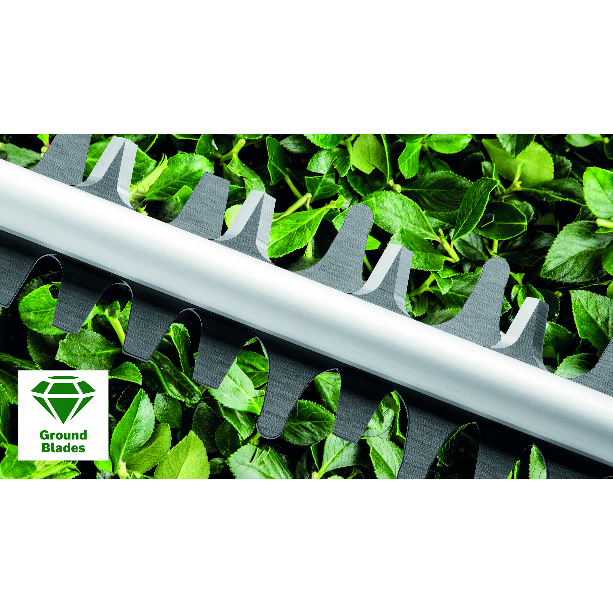 Elektro-Heckenschere 'Advanced Hedge Cut 65' 65 cm 500 W + product picture