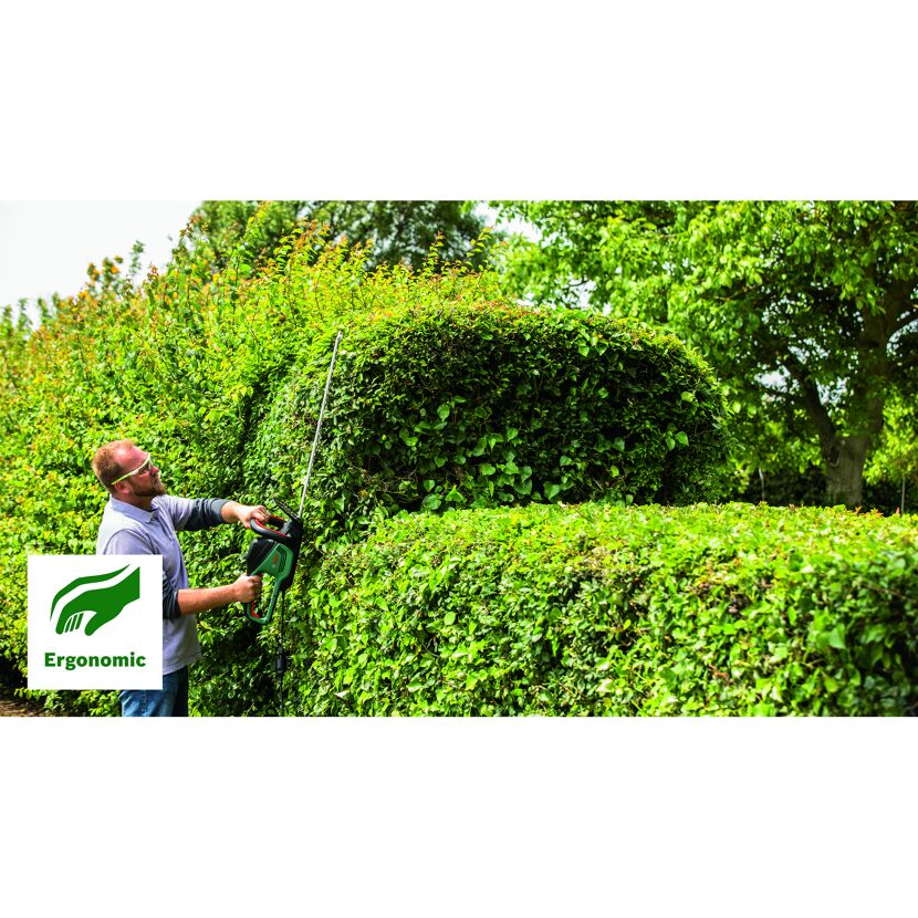 Person schneidet eine Hecke mit einer Heckenschere