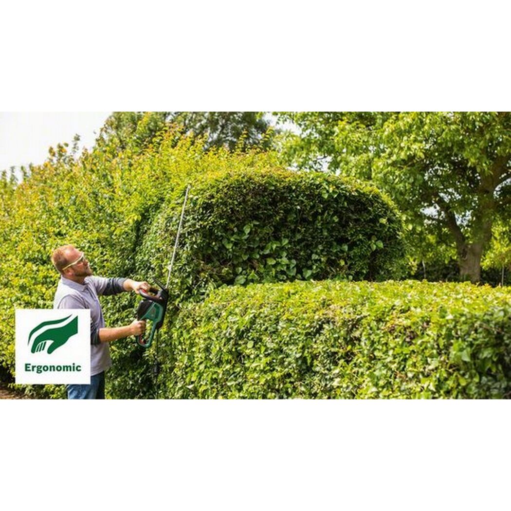 Person schneidet eine Hecke mit einer Heckenschere.