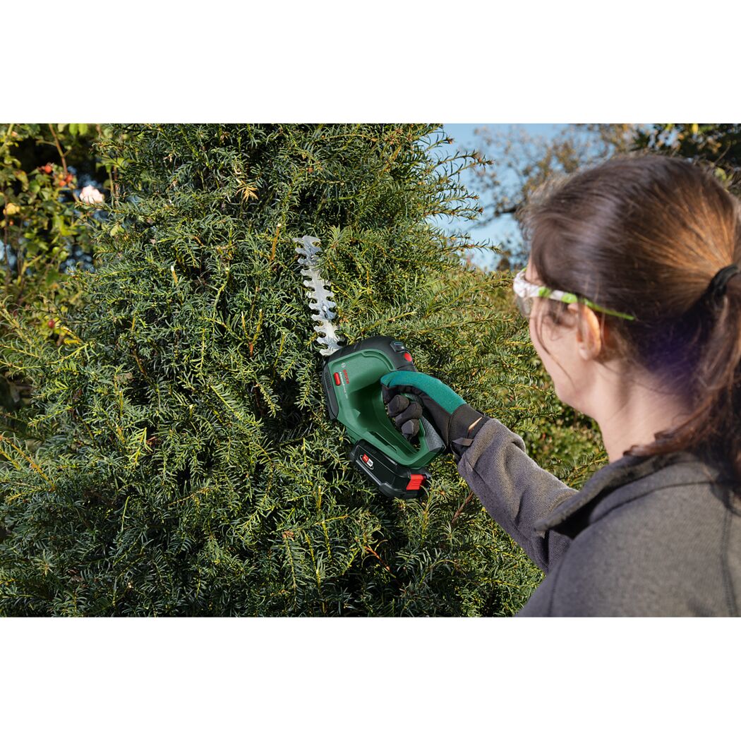 Person schneidet Hecke mit Akku-Strauchschere