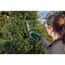 Person schneidet Hecke mit Akku-Strauchschere