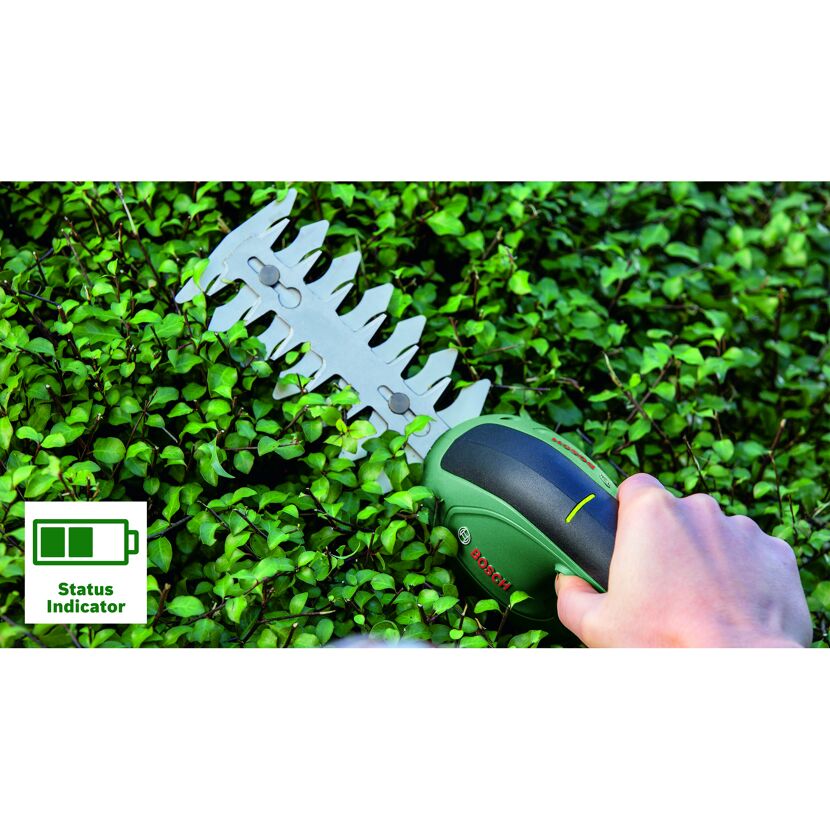 Person schneidet Hecke mit Bosch Akku-Gras- und Strauchschere